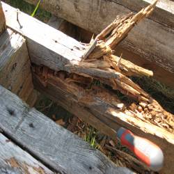 timber decay in decking sub-structure