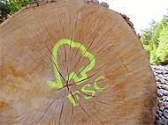 FSC certified log